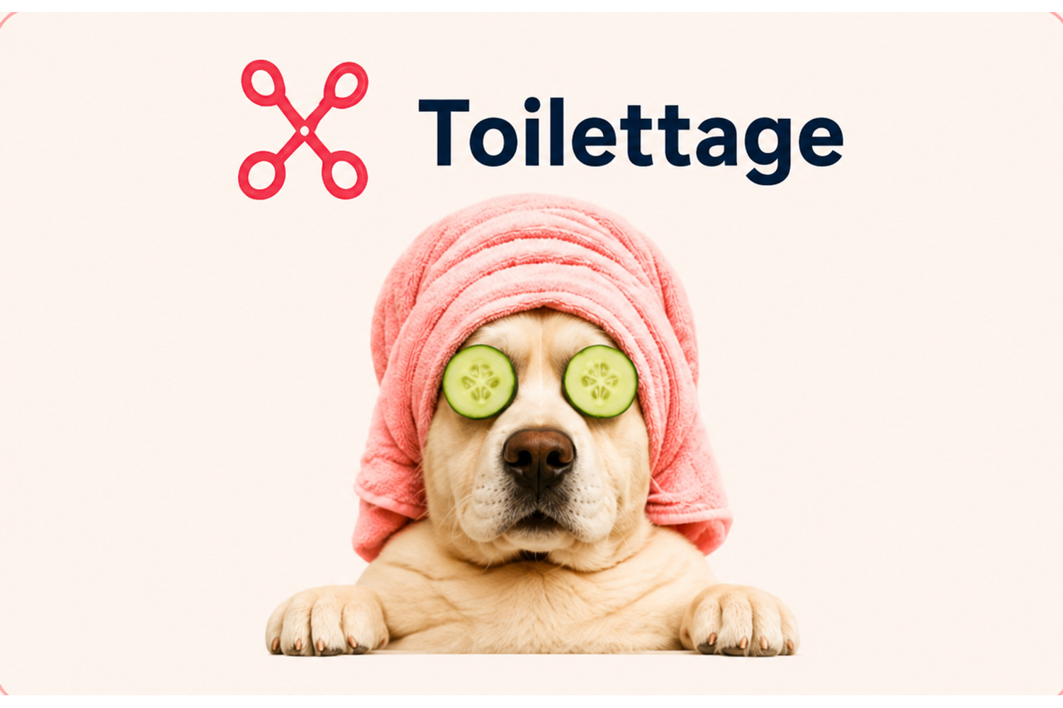 Toilettage